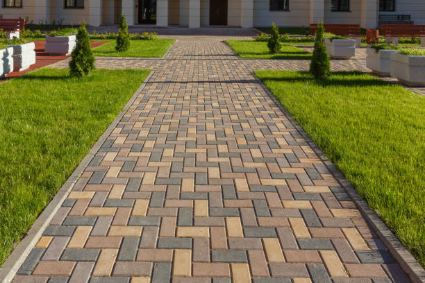 Best Affordable Driveway Paving  in Reedley, CA